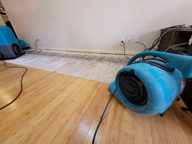 Professional Water Damage Repair technician working in Palm Springs, CA
